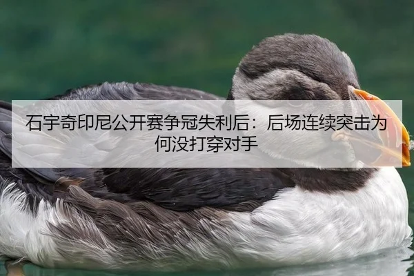 石宇奇印尼公开赛争冠失利后：后场连续突击为何没打穿对手