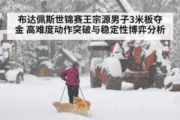 布达佩斯世锦赛王宗源男子3米板夺金 高难度动作突破与稳定性博弈分析
